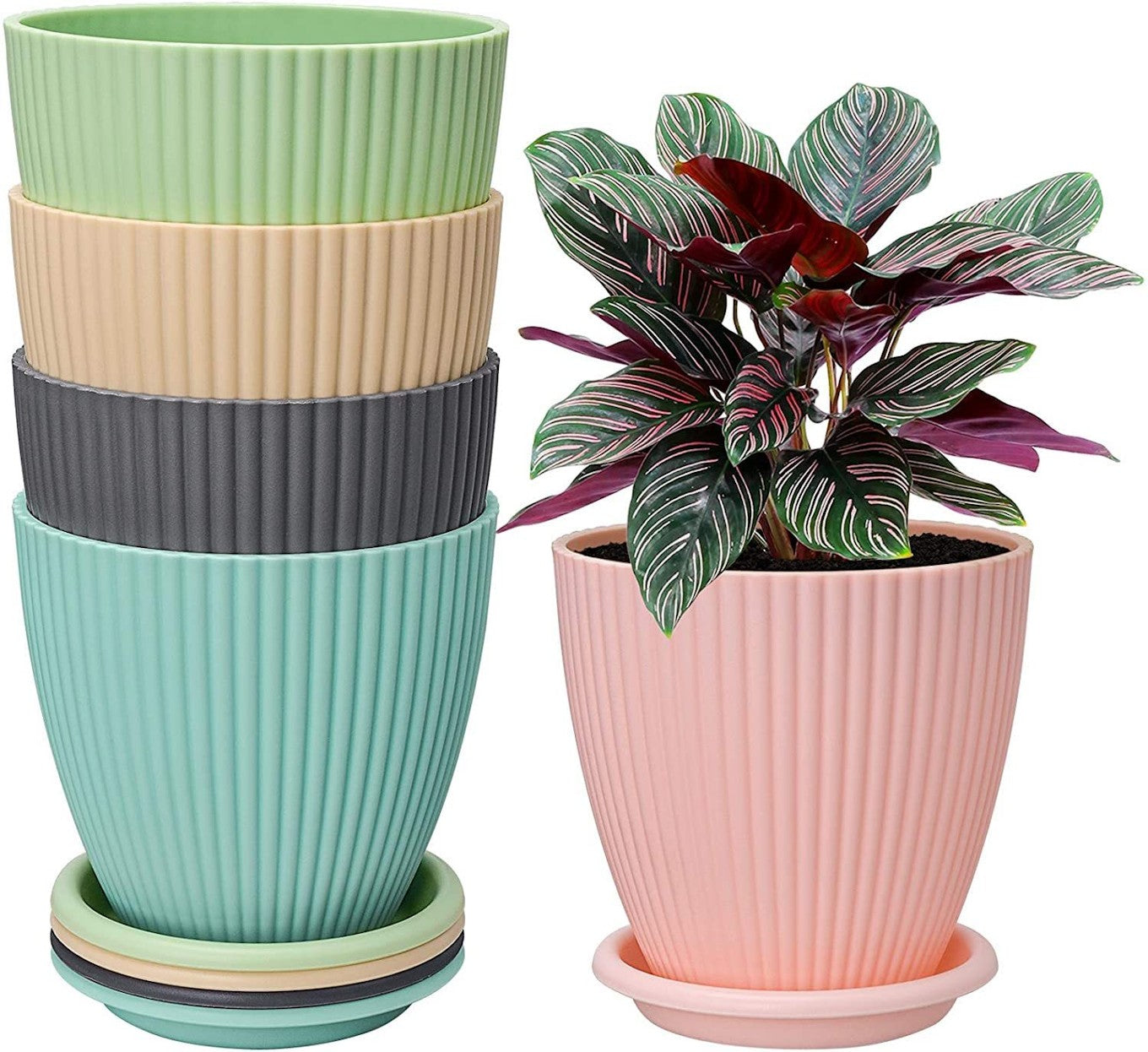 Plastic Round Flower Pot with Tray | Multicolor