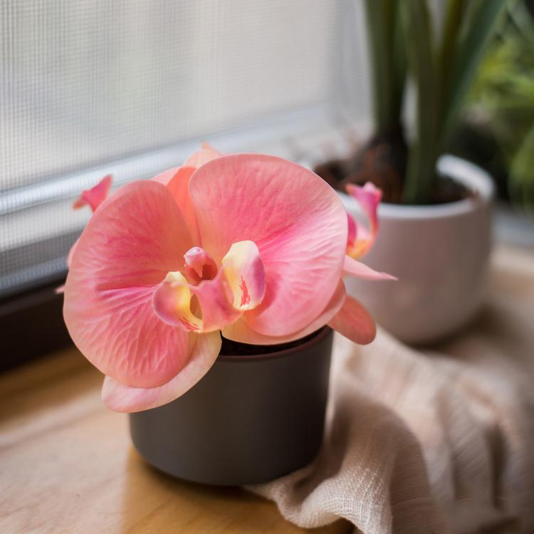 Mini Real-Touch Orchid Artificial