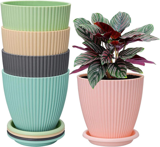 Plastic Round Flower Pot with Tray | Multicolor