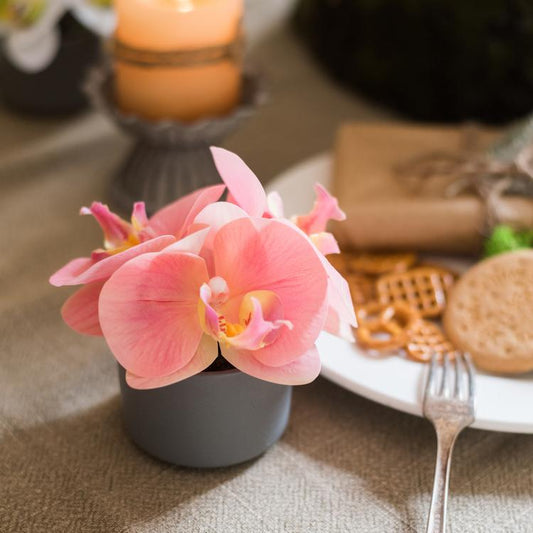Mini Real-Touch Orchid Artificial