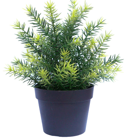 UV-Resistant Artificial Native Grass in Pot